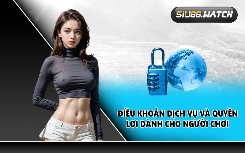 Điều khoản dịch vụ và quyền lợi dành cho người chơi